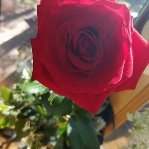 Meet your Posher, Billie